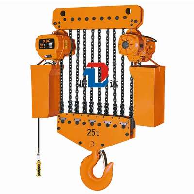 High Quality Tools Lifting Ladder Hoist with Remote